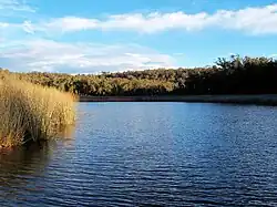 Thirlmere Lake in Thirlmere Lakes National Park