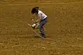 The competitor throws the goat to the ground in order to tie its legs