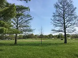 Tilles Park in the North Hampton neighborhood of St. Louis in May 2018