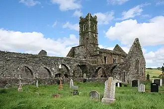 Timoleague Friary, West Cork. Founded 1240[44]