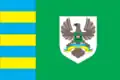 Flag of Tiachiv Raion