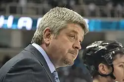 Todd McLellan, Detroit Red Wings