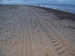 Great Yarmouth North Denes