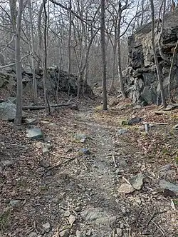 A trail in the forest with large rocks
