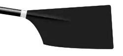 Image showing the rowing club's blade colours