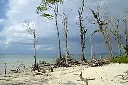 Beach view on Havelock Island