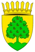 Coat of arms of Trușeni