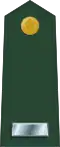 First lieutenant