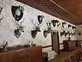 Hunting trophies lining the walls