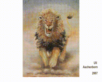 Video f: Attacking Lion, by passing this chameleon-painting its colour changes as shown, 2007, 100 x 80&nbsp;cm