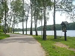 Lake in Debrzno