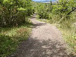 Gravel trail winding through thick vegetation.