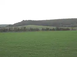 View of southern section of proposed bypass route