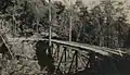 Sapodilla trestle bridge