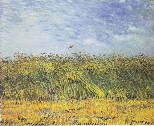 Wheat Field with a Lark, 1887, at Van Gogh Museum, Amsterdam, Netherlands (F310)