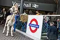 An alpaca helping TfL advertise their overground map
