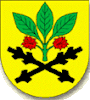 Coat of arms of Velká Bukovina