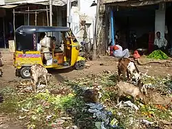 Vegetable waste being dumped in a market in Hyderabad
