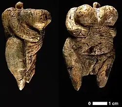 Two views of the Venus of Hohle Fels figurine, 40,000 BC–35,000 BC (6&nbsp;cm (2.4&nbsp;in) tall), one of the earliest known, undisputed examples of a depiction of a human being