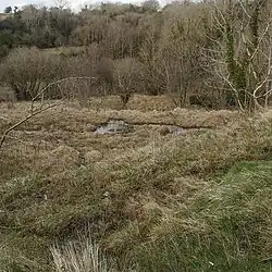 A photo showing a terraced wetland slope, with pools of water at various stages, and with plant growth including grasses, sedges, shrubs and trees. The river at the bottom of the slope is not visible - the view of it is blocked by trees.