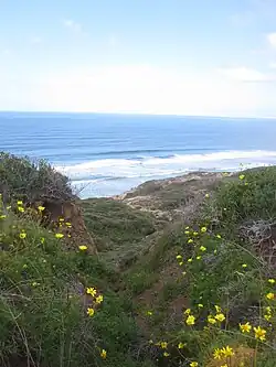 View on one of the trails at Torrey Pines State Natural Reserve