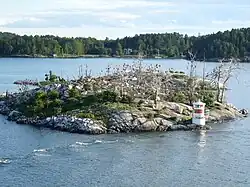 Great cormorant, breeding colony, off Stockholm