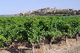 A general view of Bages, seen from a vineyard