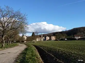 The village of Montfalcon