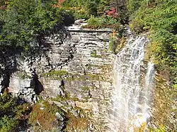 A waterfall in a wooded area against striated grayish rock