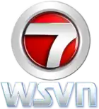 A shiny red sphere framed by a combined chrome 7 and circle (the "circle 7" logo). Underneath the number design are the letters "WSVN" in a distinctive typeface, itself also with a chrome appearance.