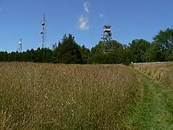 Fire tower on Holt Hill