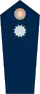 Blue epaulette with a silver button