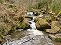 Small waterfall in Wyming Brook nature reserve
