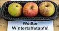 File:Weiẞer Wintertaffetapfel jm55111.jpg