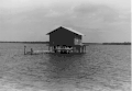Willis Fish Cabin at Bull Bay