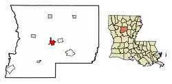 Location of Winnfield in Winn Parish, Louisiana