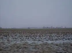 Snow-covered countryside in Jackson Township
