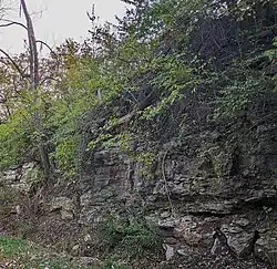 Railroad cut showing Bethany Falls Limestone, Swope Formation, Lower Bronson Subgroup, Kansas City Group, Missourian Series, Pennsylvanian System. Note the Hushpuckney Shale Member beneath the limestone - the softer shale has eroded and undercut the limestone above. Raytown, Missouri. Note fine bedding - exposed as the stone weathers.