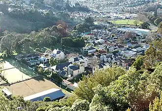 Woodhaugh and the mouth of the Leith Valley, seen from Prospect Park immediately to the south. The Gardens Corner, at the mouth of North East Valley, is visible in the background, top right.