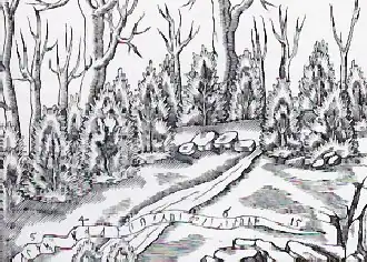 Worm's illustration of the Runamo inscription, wherein he asserted he could read the name Lund; the "inscription" later was found to be natural formations in the rock