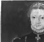 Infrared photograph 1: detail upper left