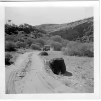 The track into Palm Valley, c1955